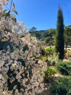 Hotel les jardins Sta Giulia avec piscine - Porto-Vecchio - 0
