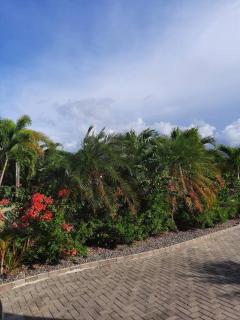 The Palms-Clearwater Blue Getaway - Banks - 3