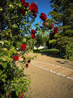 Landhaus Pannonia - 7