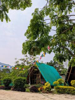 Tushita Ban - Kaziranga - - 5