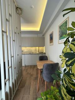 Vista Living Apartments - 5