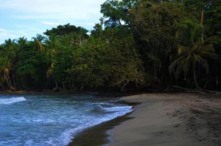 Villas Luna Africana by Palmer - Puerto Viejo - 6
