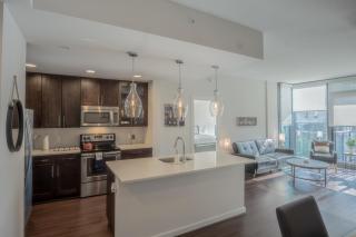 Buckhead Fully Furnished Apartment apts - Atlanta - 2