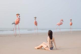 IB306 Tự doanh - Flamingo Hải Tiến - 9