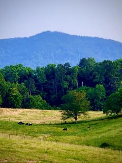 Baxter Farmhouse - Dandridge - 9