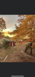 Country Roads cabin - - 1