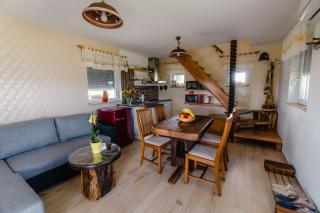 WeinSpitz - Wellness House - Miklavž pri Ormožu - 1