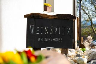 WeinSpitz - Wellness House - Miklavž pri Ormožu - 8