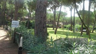 Appartamenti Calaverde - Forte Village - 5