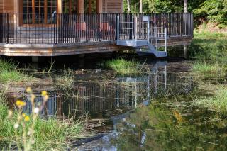 The Early Birds - Gedinne - 3