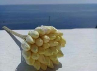 superbe appart 2 min - Sousse - 4