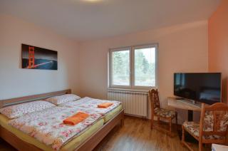 Apartmány Stříbrňák - Hradec Králové - 4