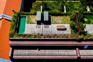 Jungle Lofts - Lisboa - 9