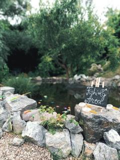 Casă din povești în mijlocul naturii! - Arad - 6