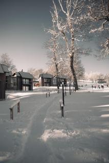 RentUp - Experimenta la belleza de San Martin de los Andes - 3