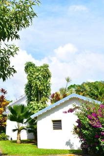 Carré Vert Guadeloupe Villa Privée Piscine - Gourbeyre - 7