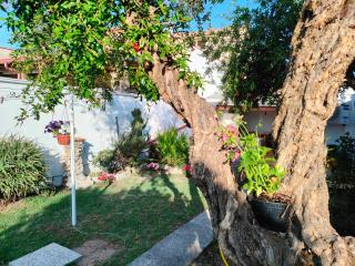 Mammaioa house - Riola Sardo - 6