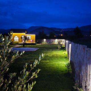 ROOT TINY HOUSE KALKAN - 5