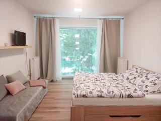 Apartmán IRIS Poděbrady - 8
