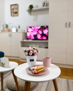 Apartment Atria - Vrnjačka Banja - 0