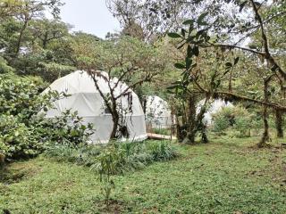 Refugio La Paz EcoGlamping - San Ramón - 7