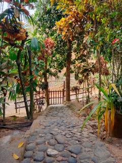 Cabaña Los Naranjos - Santa Marta - 4