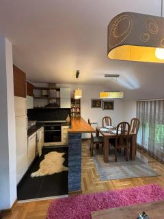 Unikat Zlatibor 2 - Palisad - 6