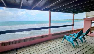 Selva Boutique Hotel - Luquillo Oceanfront Retreat - Adults Only - 1