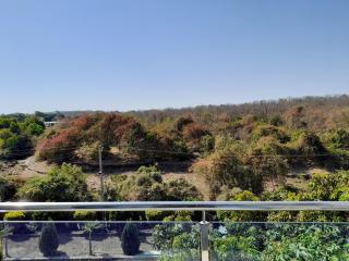 Lionsburg Resort - 4