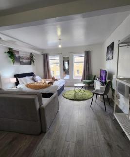 New Deluxe Studio Apt-2 - Londra - 1