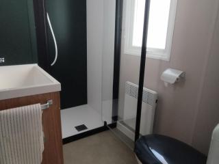 Chalet de Luxe au Calme avec Piscines Chauffées, Clim et Prestations Haut de Gamme - FR-1-778-24 - Saint-Georges-dʼOléron - 1