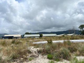Little Dell - Beachfront bach beyond the dunes - - 3