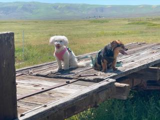 Wine Country Retreat - for the Solo Traveler - Paso Robles - 5