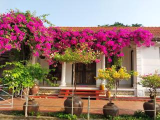 Nha Xanh Homestay - Ninh Binh - 3