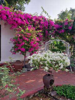 Nha Xanh Homestay - Ninh Binh - 7