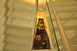 Modern house, with excellent location in Medellin - Medellín - 4