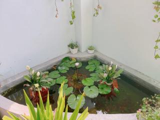 Mập homestay - Phan Thiet - 2