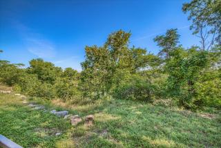 SS 6B Teckelhaus - New Braunfels - 2