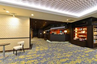 Ginza Capital Hotel Akane - Tokyo - 5