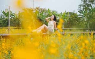 The Cavalli Casa Resort - 7