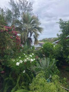 Les Terrasses de l'Anse - Logement vue mer - 4