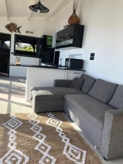 Les Terrasses de l'Anse - Logement vue mer - 1