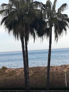 Gandia Daimuz - Daimús - 1