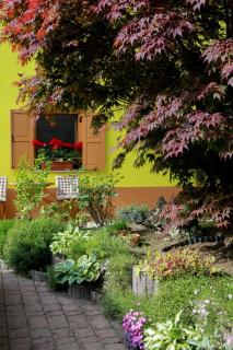 Apartma Dvor Milena - 0