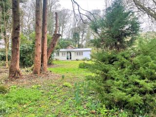 Wodehouse - Falmouth - 8