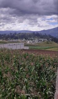 Casa Campestre en una comunidad tradicional en la naturaleza 1 - San Juan de Ilumán - 4