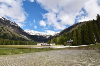 Nambino On The Slopes - Madonna di Campiglio - 9