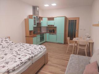 Apartmán IRIS Poděbrady - 6