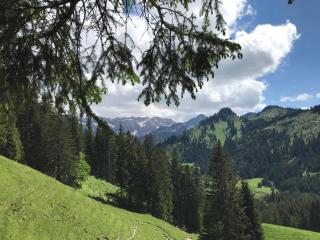 Almstube - Bad Hindelang - 7