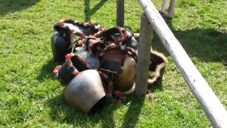 Almstube - Bad Hindelang - 3